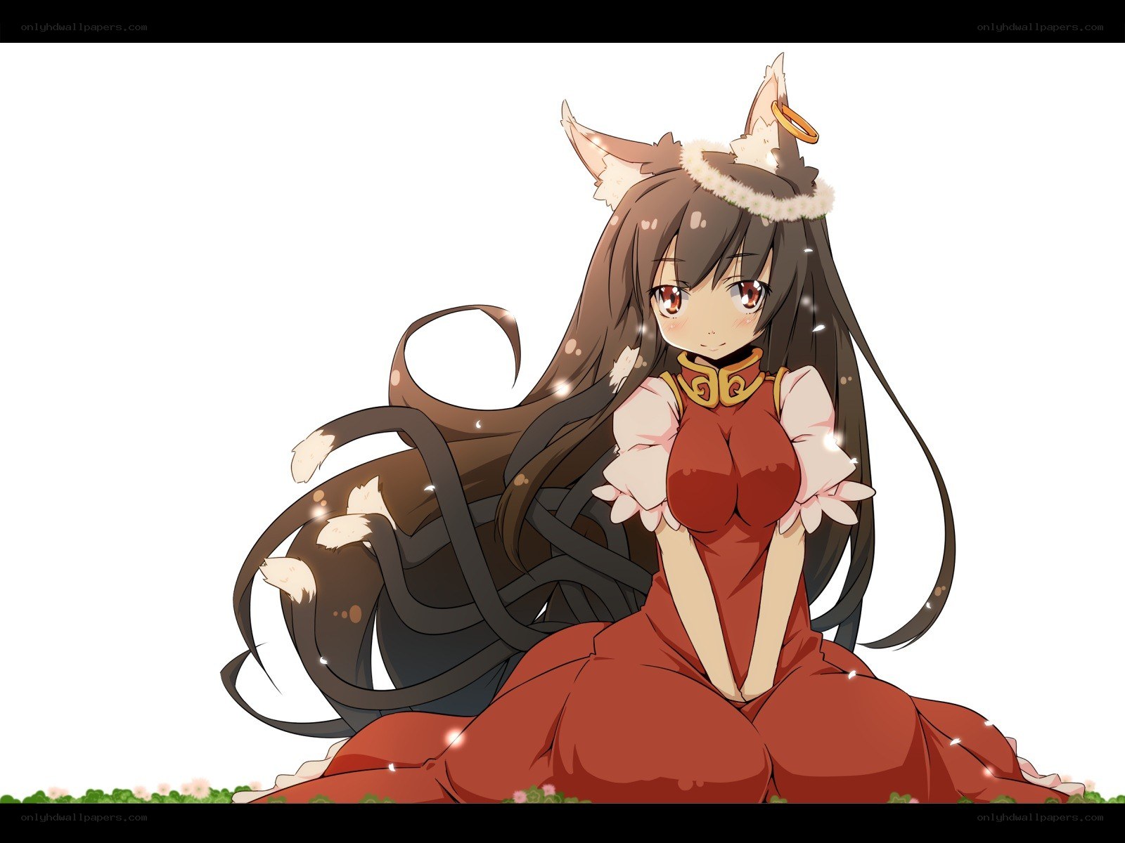 anime girl with fox ears
