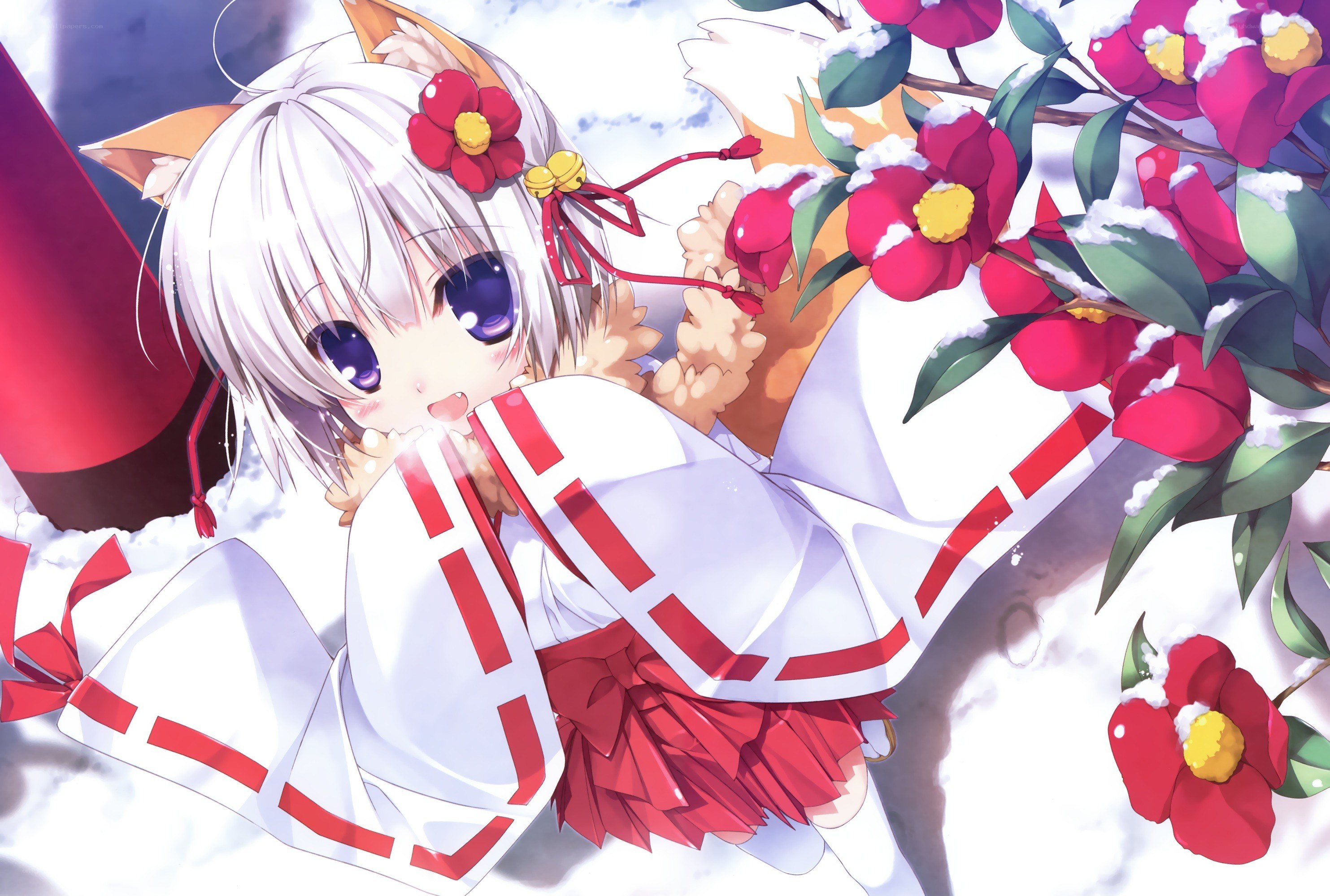 anime girl with fox ears