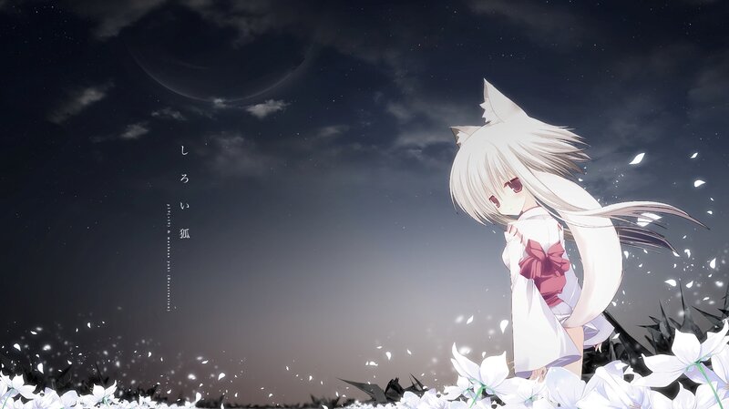 anime girl with fox ears