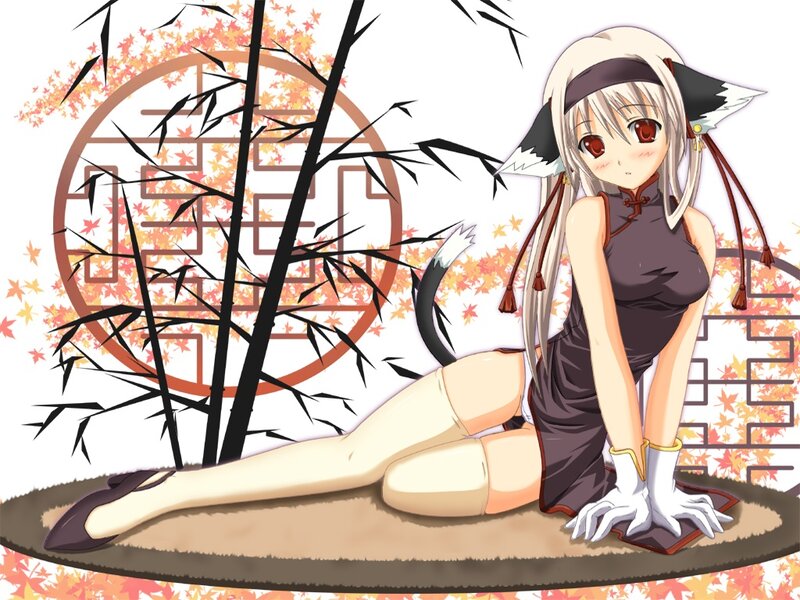 anime girl with fox ears