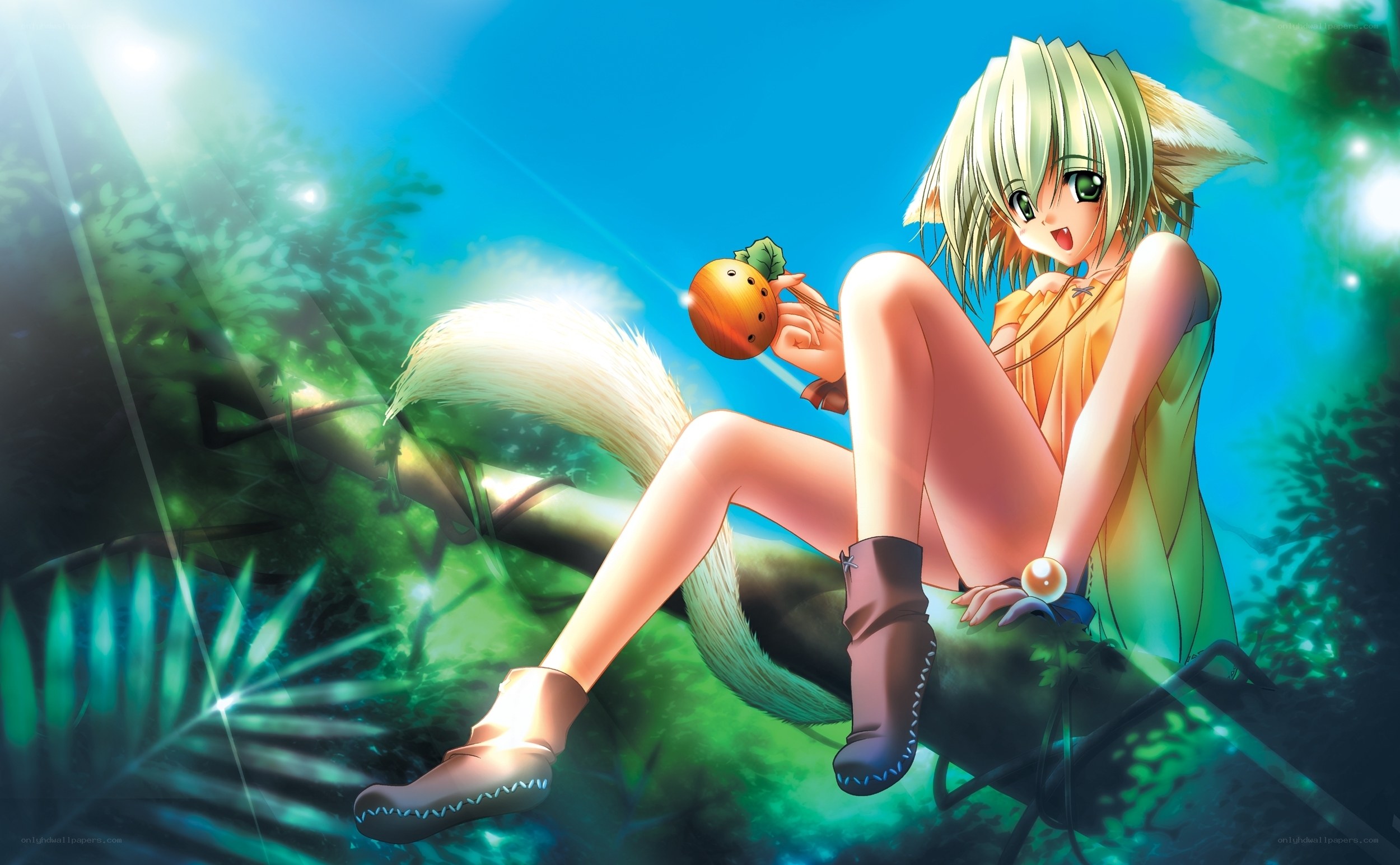 Anime girl with fox ears