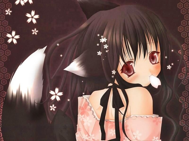 Anime Girl with Fox Ears — Black, Calm, Night