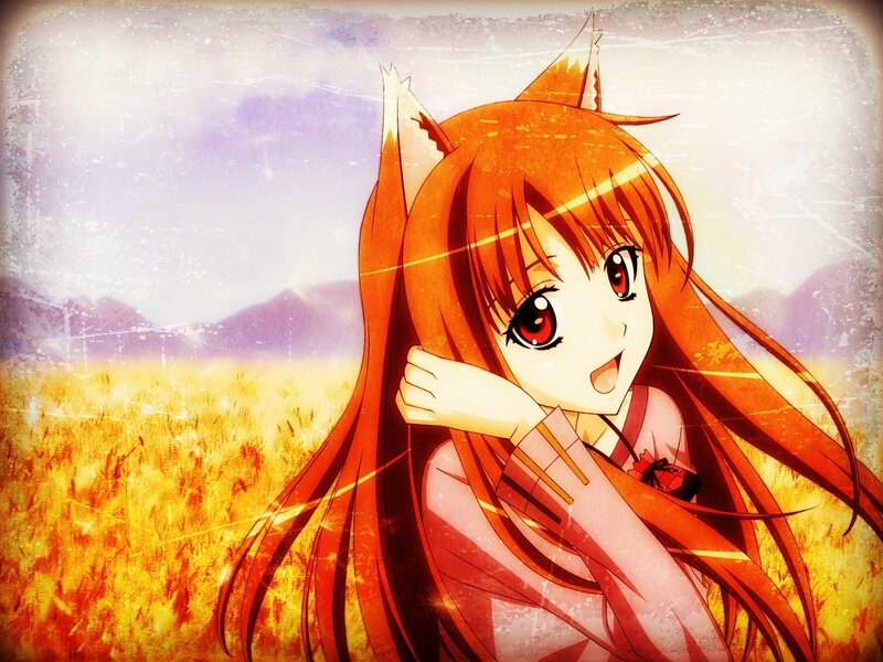 Anime girl with fox ears in a field
