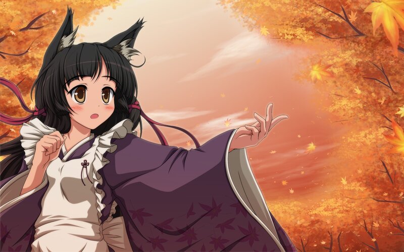 Anime Girl with Fox Ears — Orange, Serene, Autumn, Fox Ears
