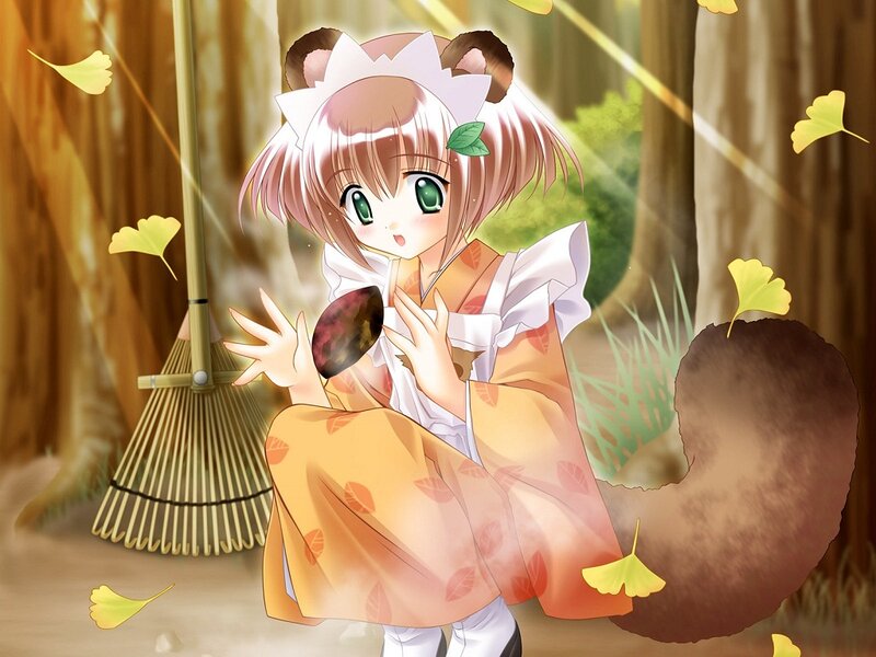 Anime Girl with Fox Ears — Orange, Serene