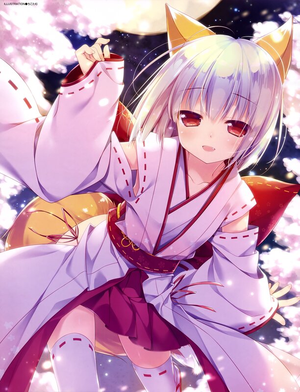 Anime Girl with Fox Ears — Purple, Serene, Night, Illustration