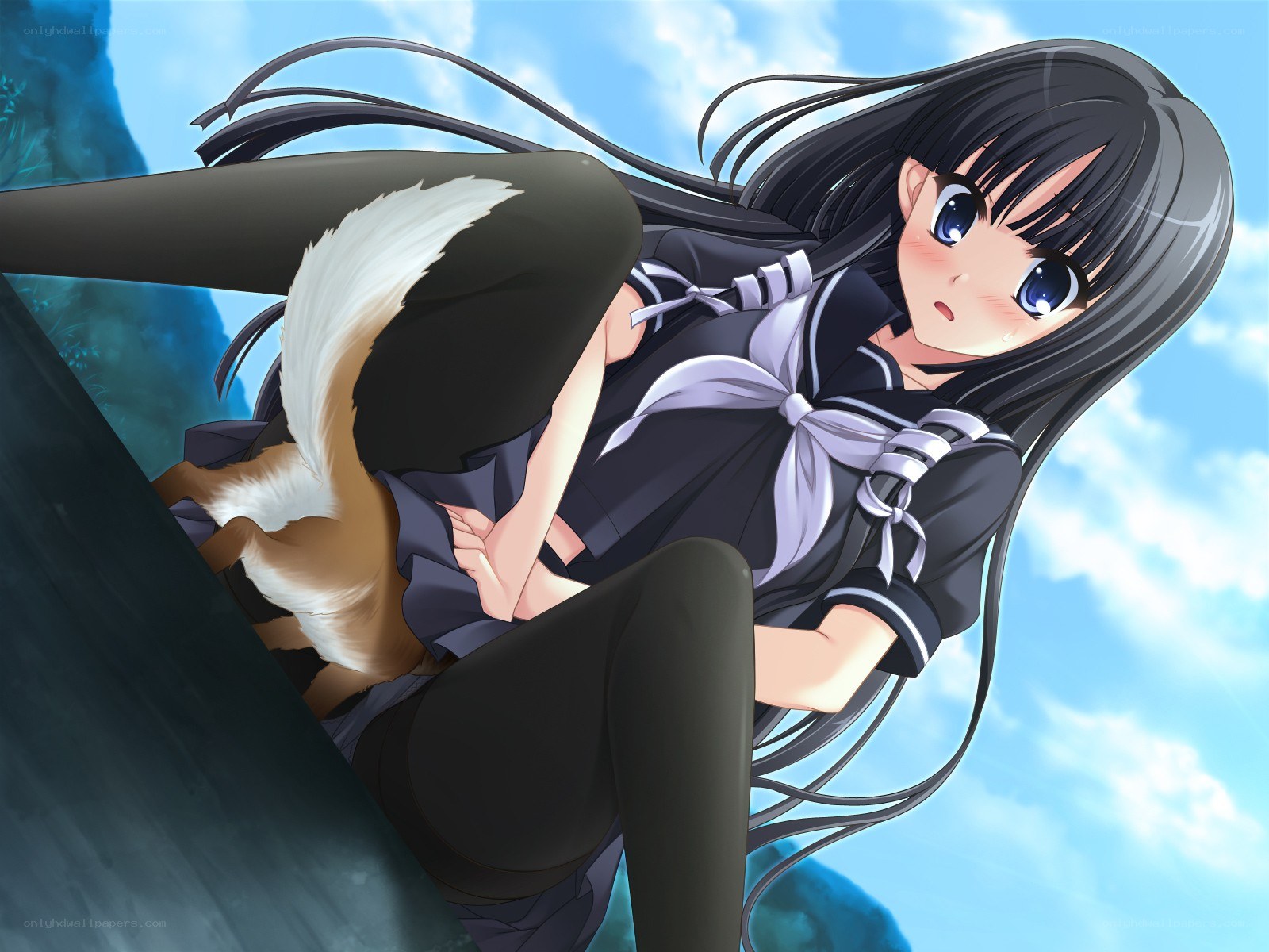 anime girl with fox tail