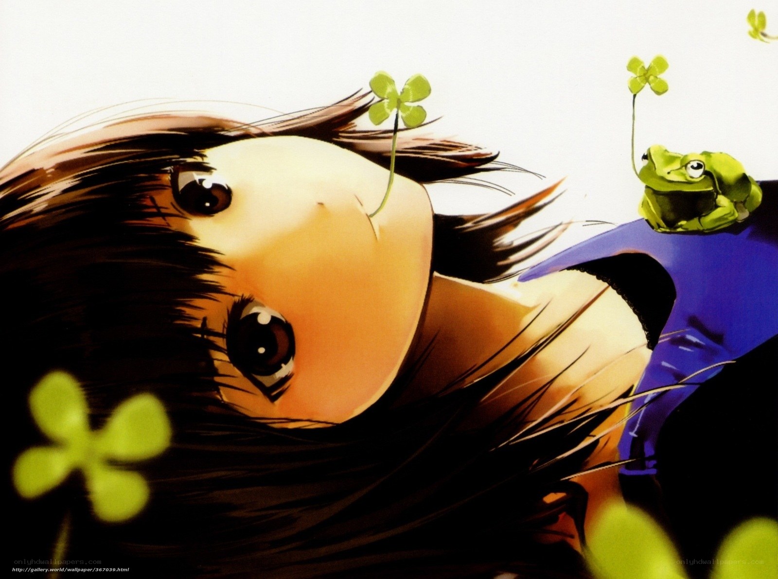 anime girl with frog and clovers