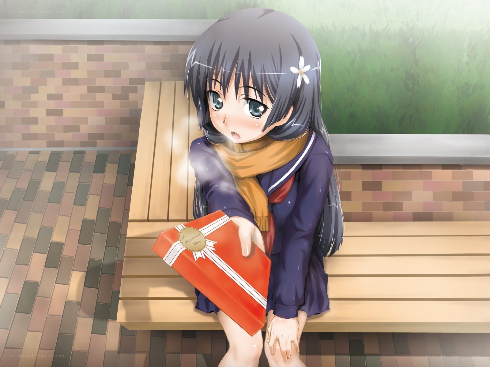 anime girl with gift