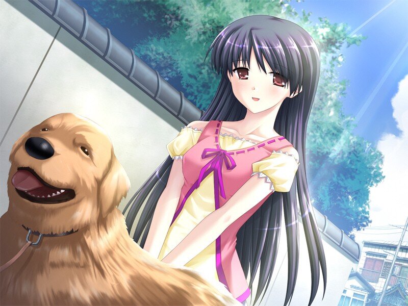 anime girl with golden retriever