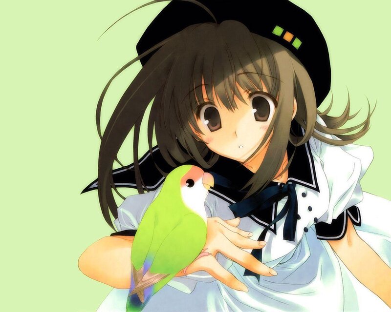 anime girl with green parrot