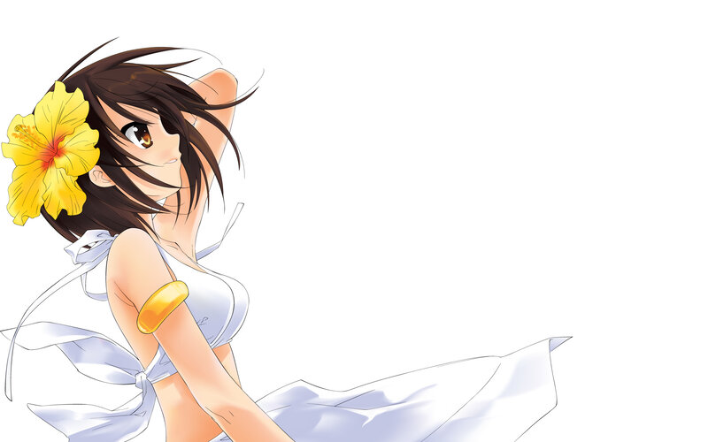 anime girl with hibiscus flower