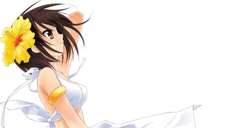 anime girl with hibiscus flower
