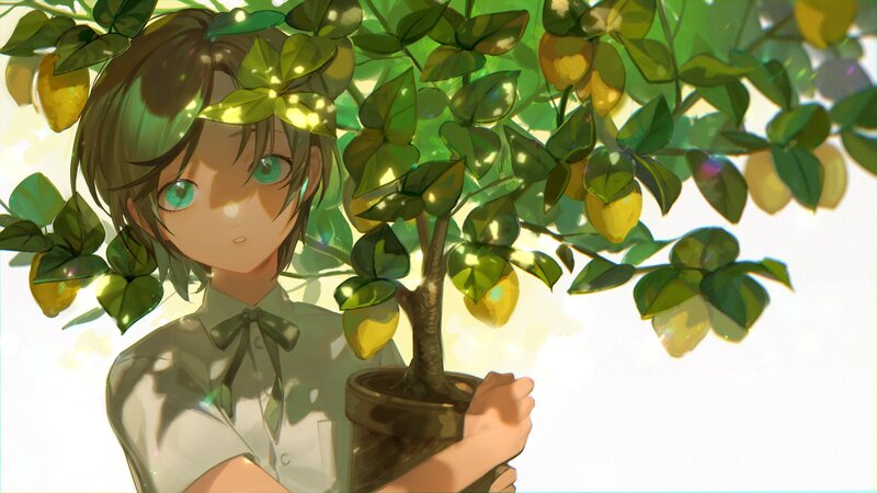 Anime Girl with Lemon Tree