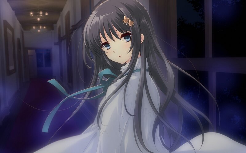 Anime Girl with Long Hair — Gray, Calm, Night
