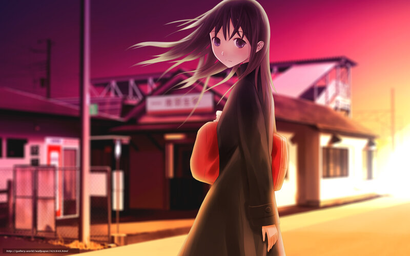 Anime Girl with Long Hair — Purple, Dramatic, Sunset, Digital Art, Train Station