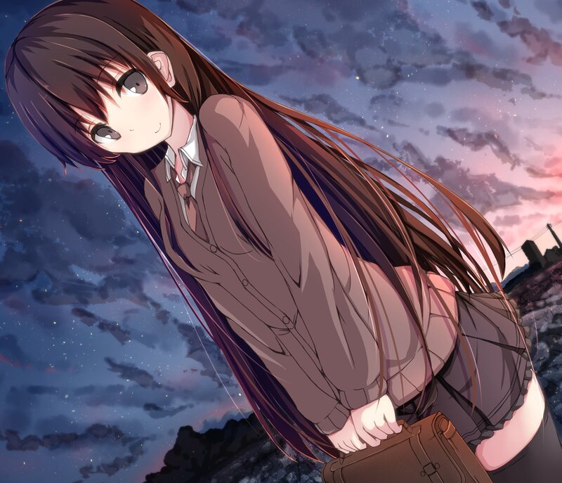 Anime Girl with Long Hair — Purple, Dramatic, Sunset, School Uniform, Briefcase