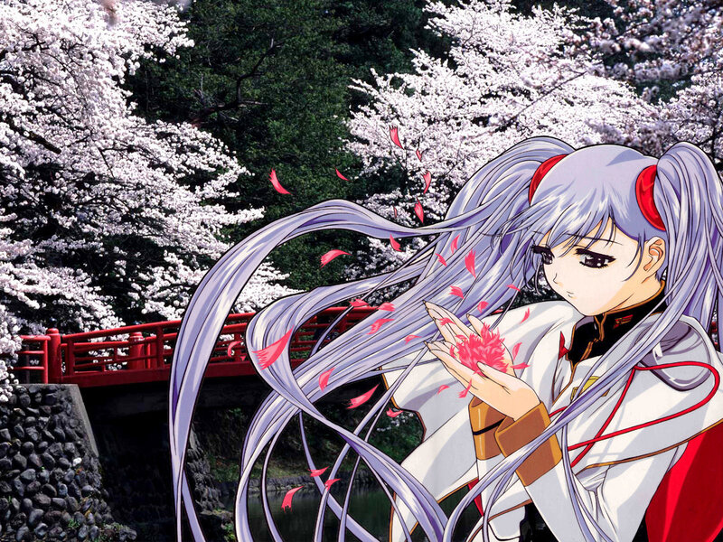 Anime Girl with Long Hair — White, Serene, Spring, Cherry Blossoms, Bridge