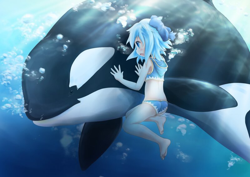 anime girl with orca whale