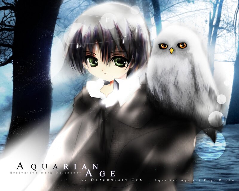 anime girl with owl in forest