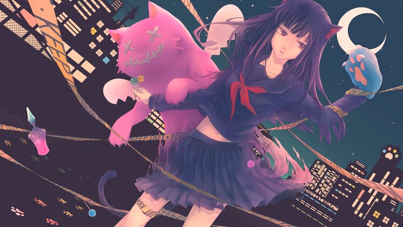 anime girl with pink cat