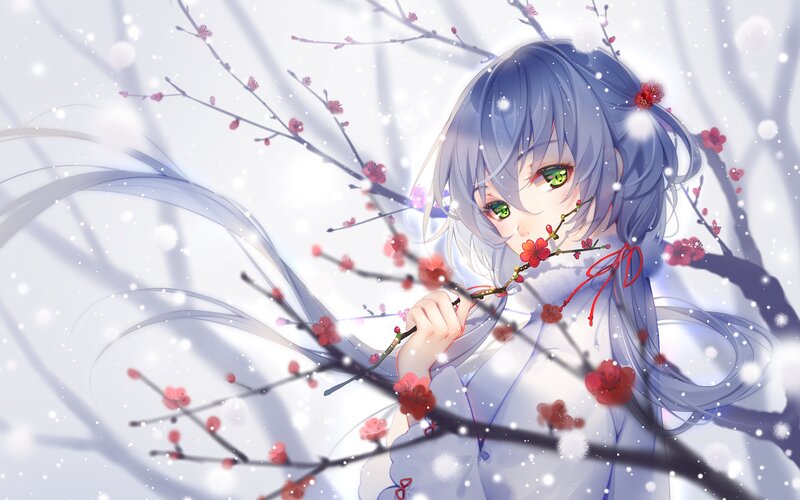 Anime Girl with Plum Blossoms