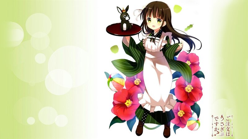 Anime Girl with Rabbit — White, Cheerful