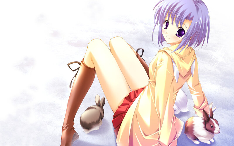 anime girl with rabbits