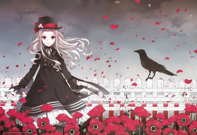 Anime girl with red poppies