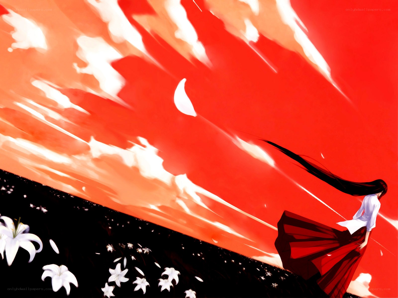 Anime girl with red sky