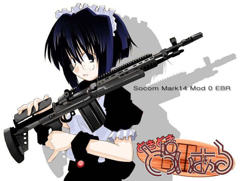 anime girl with rifle