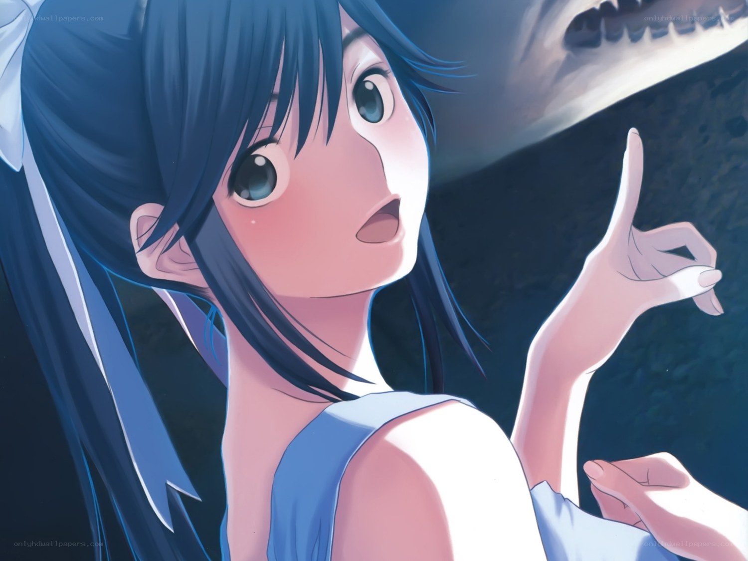 anime girl with shark