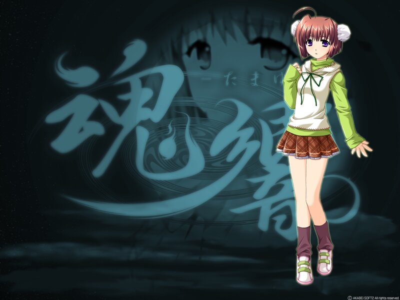 Anime girl with spirit characters