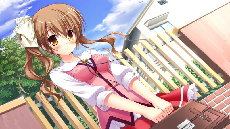 Anime Girl with Suitcase — Brown, Calm