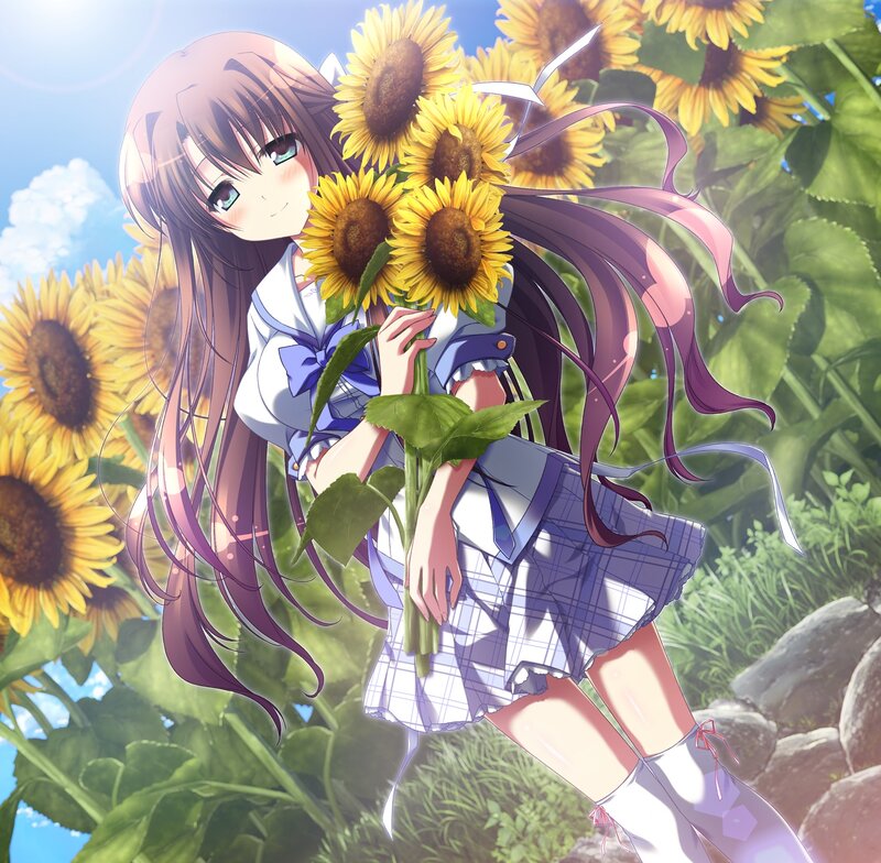 Anime Girl with Sunflowers — Yellow, Serene, Afternoon, School Uniform