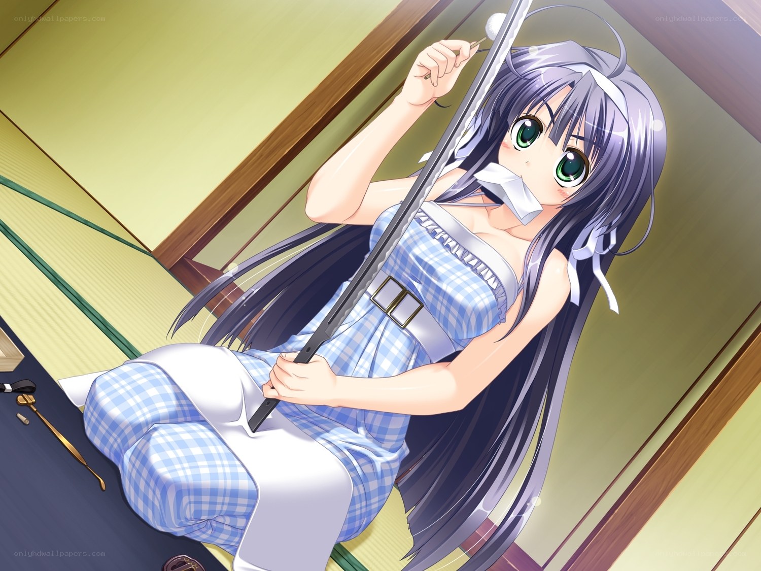 anime girl with sword