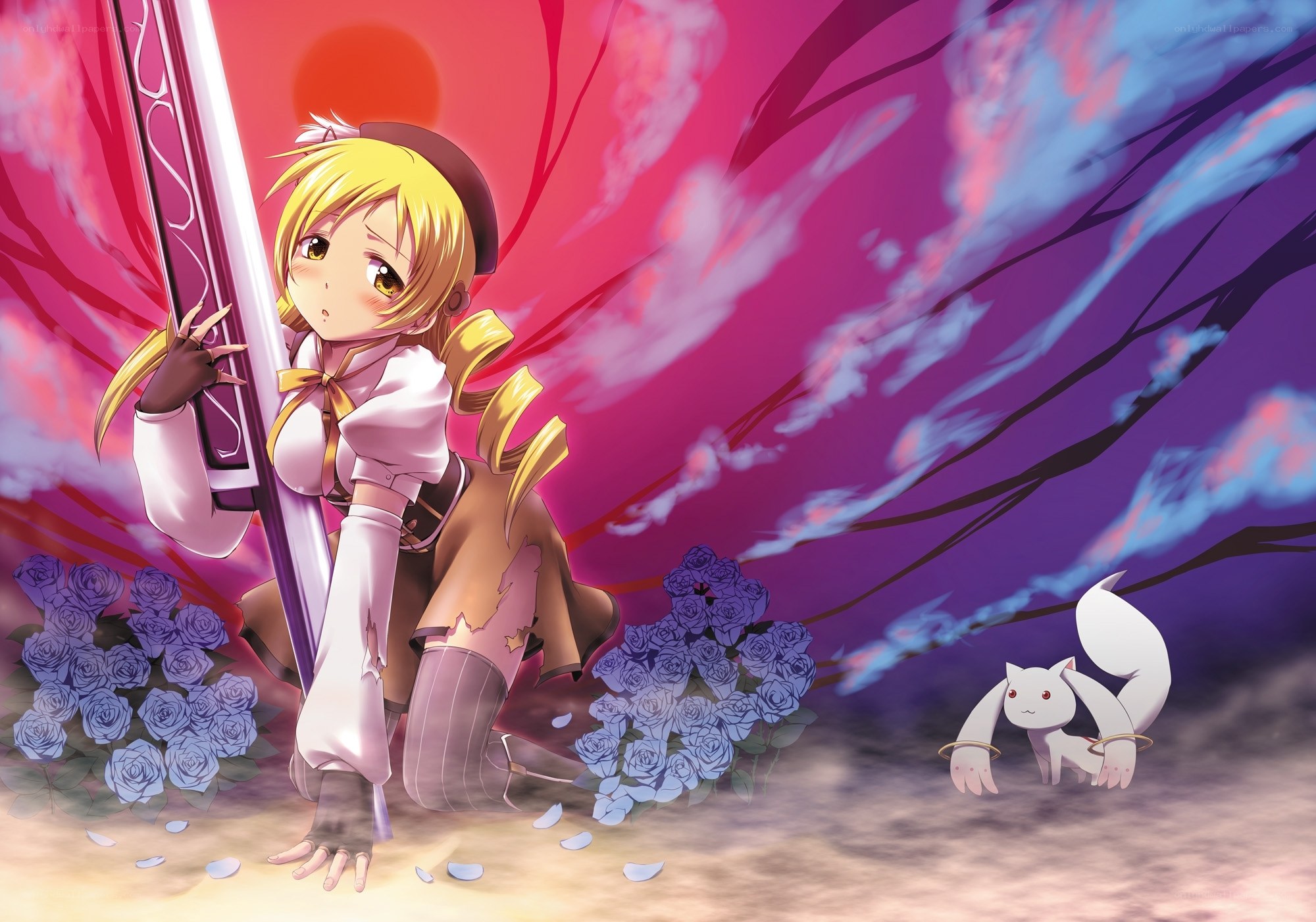 anime girl with sword and cat