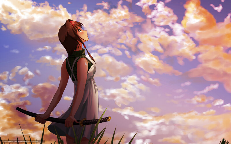 Anime girl with sword at sunset