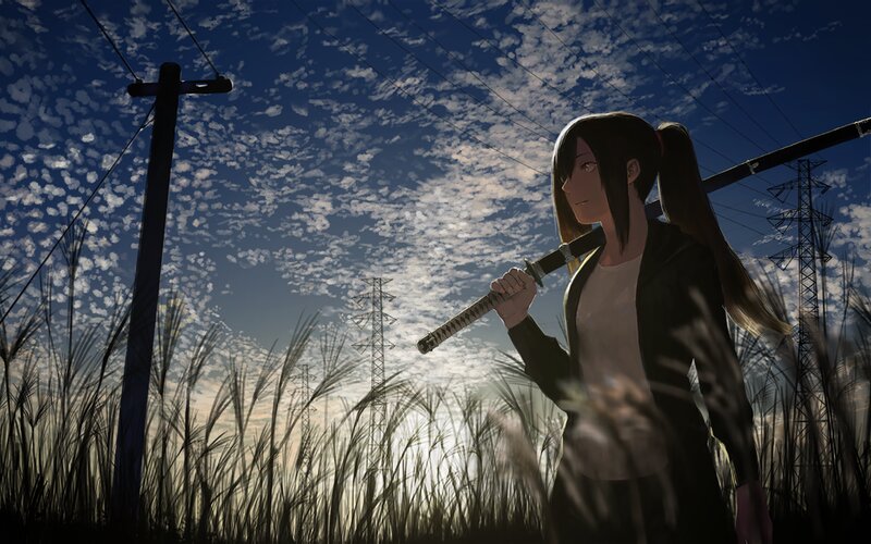 Anime Girl with Sword — Blue, Dramatic, Sunset, Digital Art, Power Lines, Tall Grass
