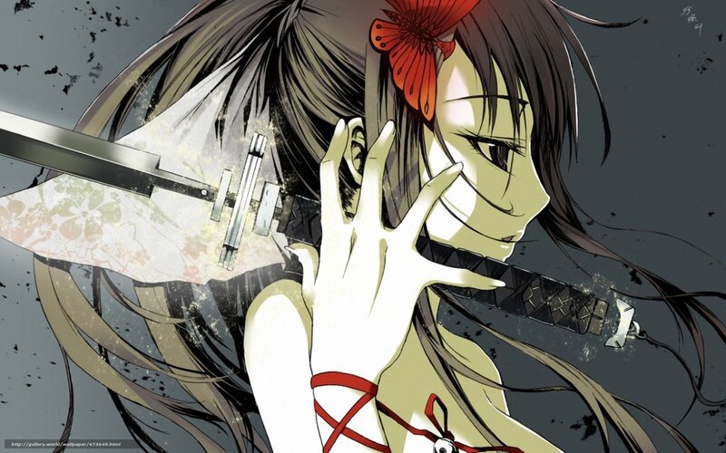 Anime Girl with Sword — Gray, Dramatic, Manga, Butterfly Hair Clip