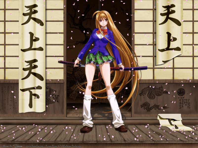 Anime girl with sword in dojo