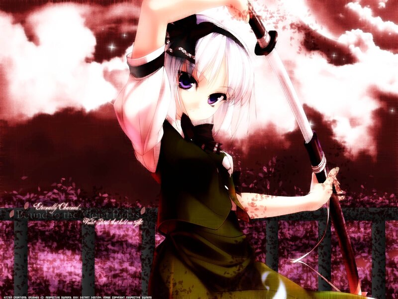 Anime Girl with Sword — Purple, Dramatic, Night, Clouds, Flowers