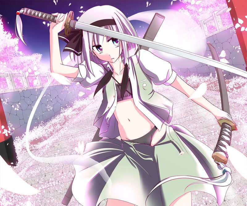 anime girl with swords