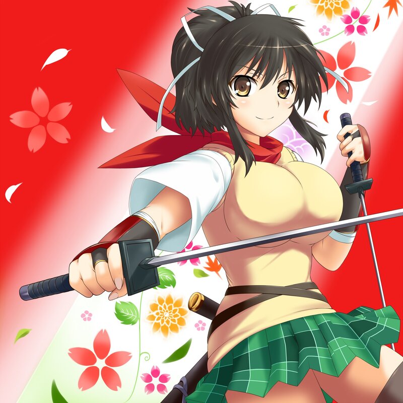 anime girl with swords