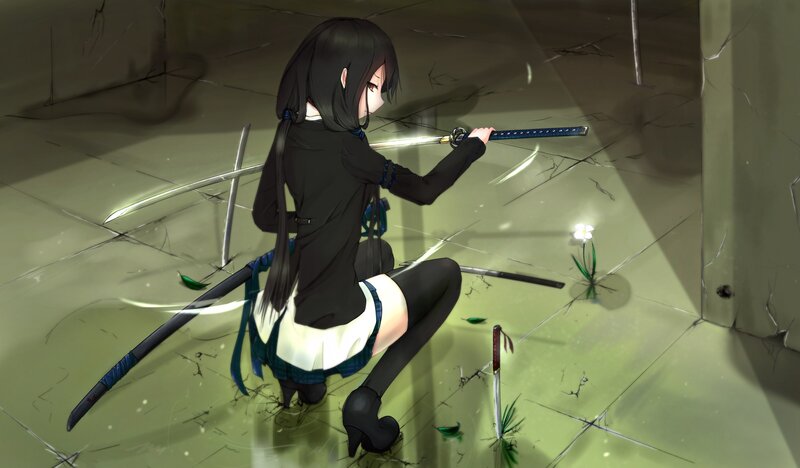 anime girl with swords