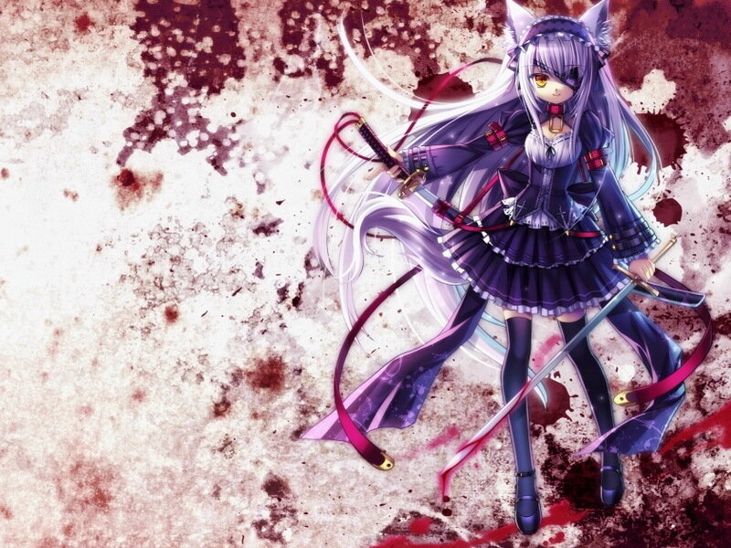 anime girl with swords