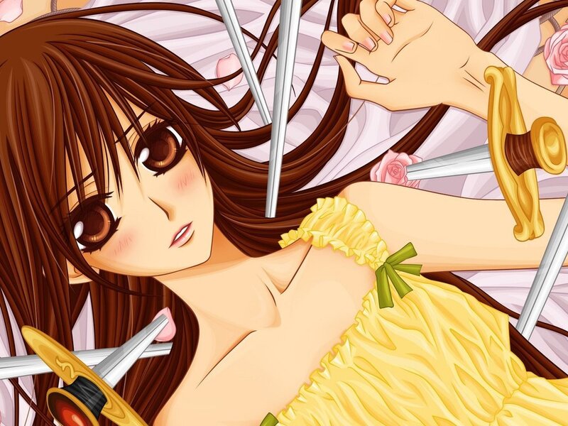 Anime Girl with Swords — Brown, Dramatic, Manga