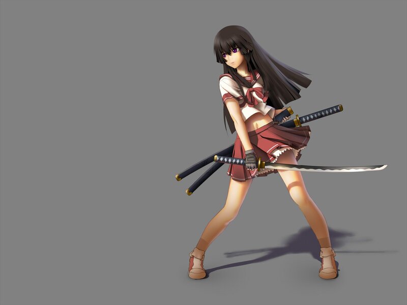 Anime Girl with Swords — Gray, Dramatic, Digital Art