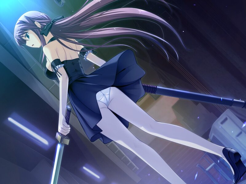 Anime Girl with Swords — Purple, Dramatic, Night, Long Hair