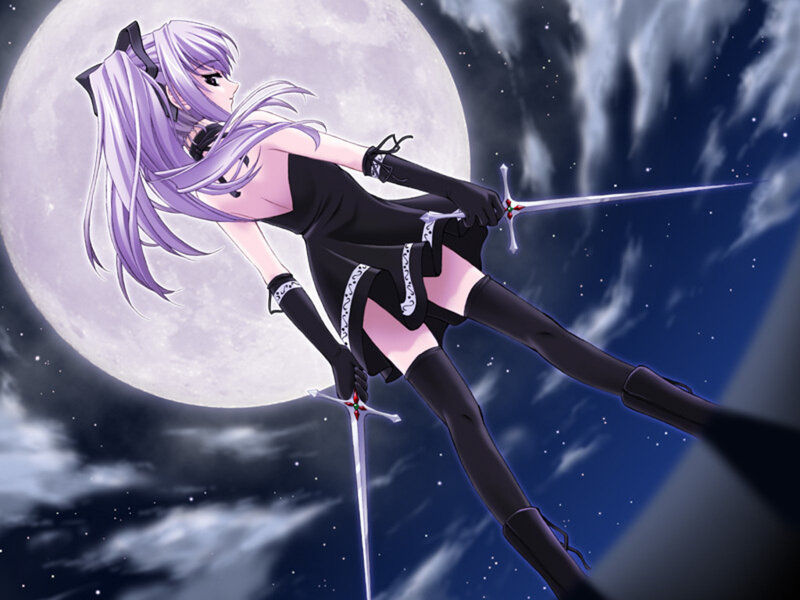 Anime Girl with Swords — Purple, Dramatic, Night, Moon, Night Sky